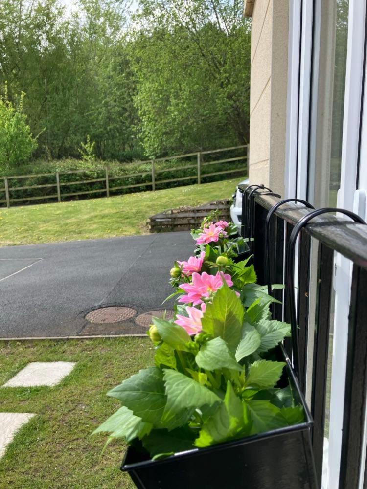 2 Bed - Near To Sherwood Forest Ollerton